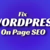 do-wordpress-on-page-seo-services-with-website-audit